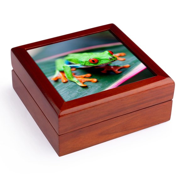 3dRose, Red eyed Tree Frog on leaf, Costa Rica, Jewelry Box 5.5x5.5 inch with 4 inch tile