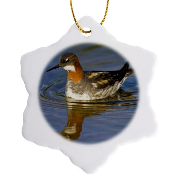 3drose, Red-necked Phalarope Bird, Latrabjerg, Iceland - Eu14 Rbe0116 - Ralph H. Bendjebar, 3 inch Snowflake Porcelain Ornament
