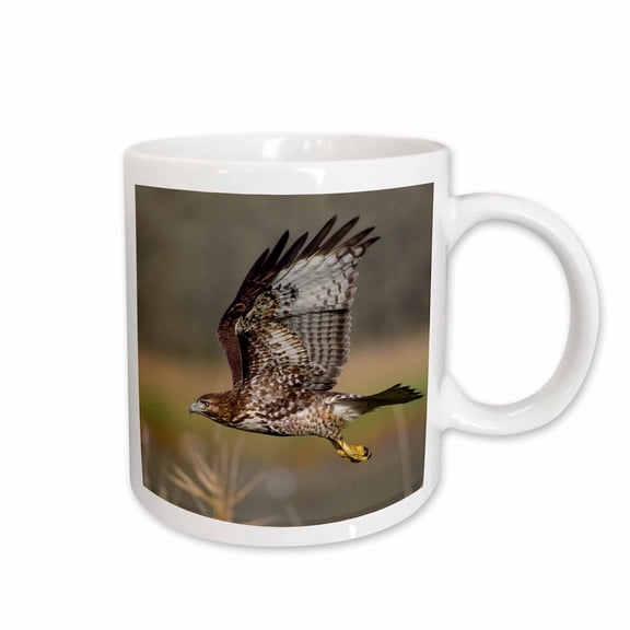 3drose, Red-tail Hawk, 15oz Mug