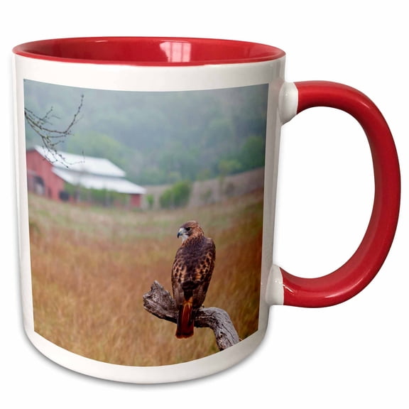 3drose, Red-tailed Hawk, Buteo Jamaicensis, Perched., 15oz Two-tone Red Mug