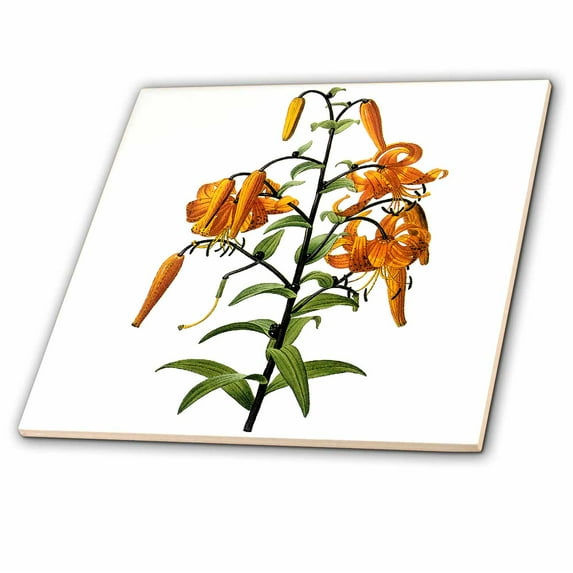 3dRose, Redoute Vintage Watercolor Floral Tiger Lily Lilium Tigrinum, 6 Inch Ceramic Tile