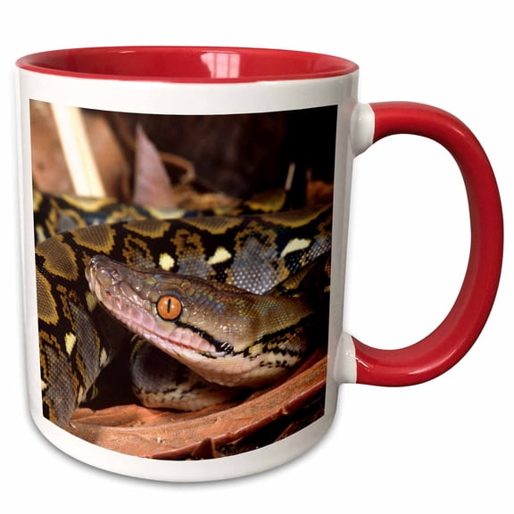 3drose, Reticulated Python Snake - Na02 Dno0481 - David Northcott, 11oz Two-tone Red Mug