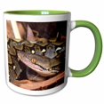 thumbnail image 1 of 3drose, Reticulated Python Snake - Na02 Dno0481 - David Northcott, 15oz Two-tone Green Mug, 1 of 6