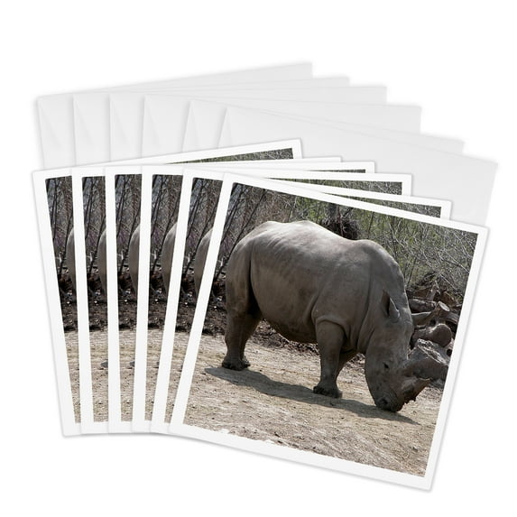 3drose, Rhino, 6 Greeting Cards with Envelopes