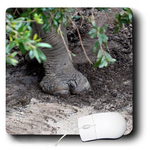 3dRose, Rhino Foot On Sand Under Tree , MousePad