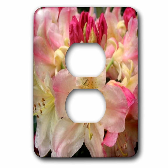 3dRose, Rhododendron, 2 plug outlet cover