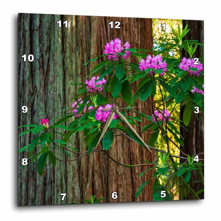 3drose, Rhododendron in Jedediah Smith Redwoods State Park, California 1, 10x10 Wall Clock
