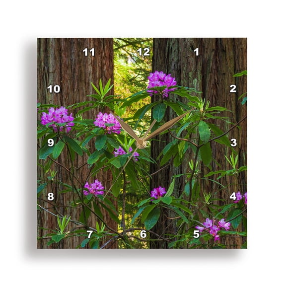 3dRose, Rhododendron in Jedediah Smith Redwoods State Park, California 2, 15x15 Wall Clock