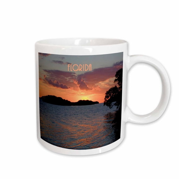 3drose, River in the Florida Everglades, 15oz Mug