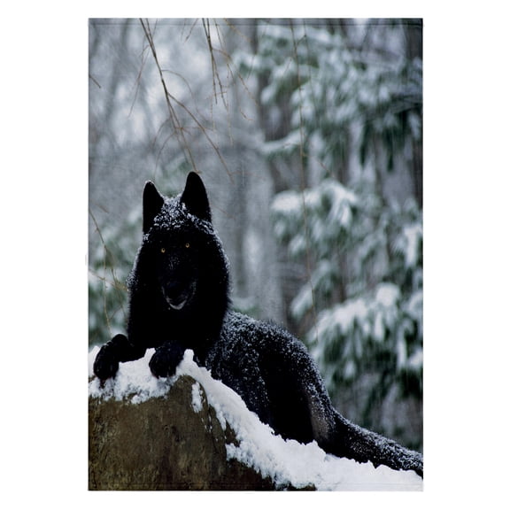 3dRose, Rock Mountain Wolf 4, 22x30 Bath Hand Pool Towel