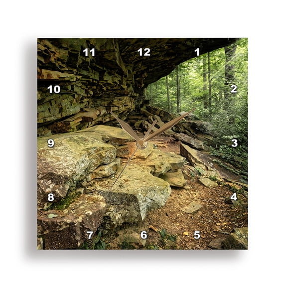 3drose, Rock Overhang in the Forest in Monte Sano State Park, 10x10 Wall Clock