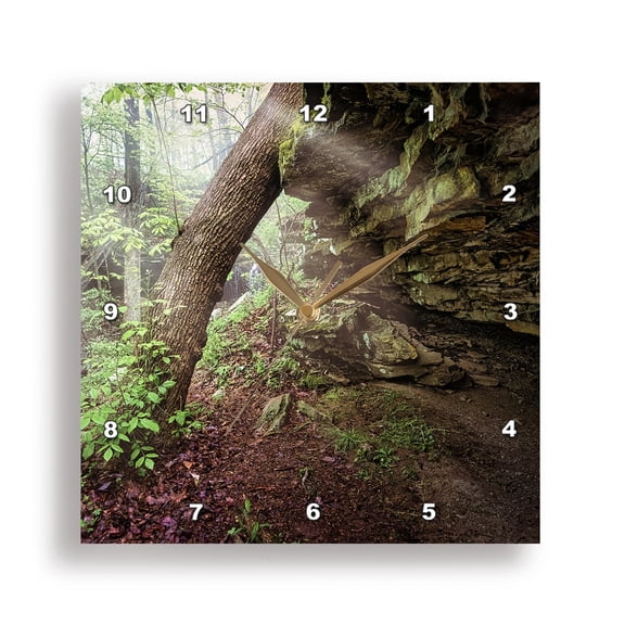 3dRose, Rock Shelf in the Forest, 15x15 Wall Clock