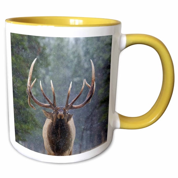 3drose, Rocky Mountain Bull Elk Making Face, 15oz Two-tone Yellow Mug