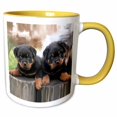 thumbnail image 1 of 3drose, Rottweiler, 11oz Two-tone Yellow Mug, 1 of 6