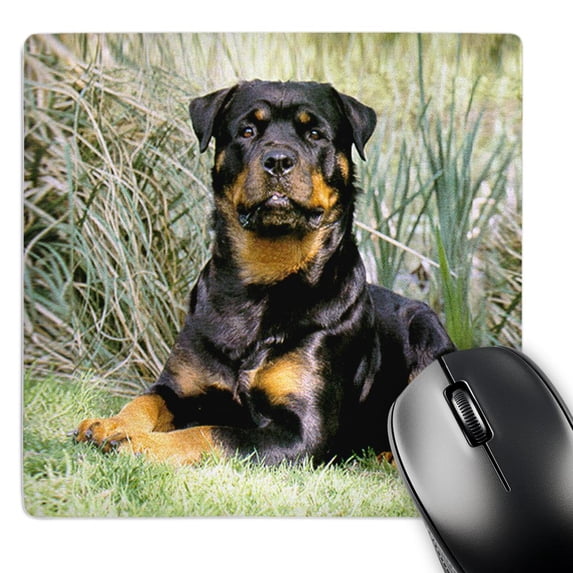 3dRose, Rottweiler, MousePad