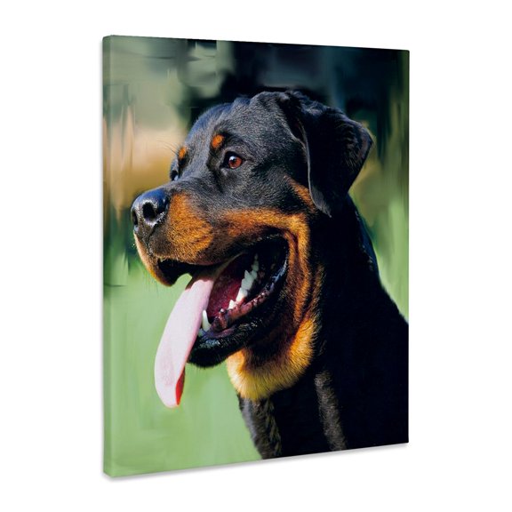 3dRose, Rottweiler, Museum Grade Canvas Wrap 11x14