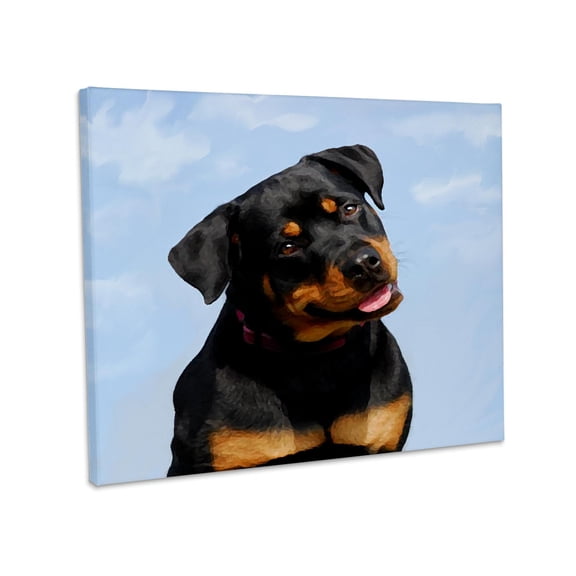 3dRose, Rottweiler, Museum Grade Canvas Wrap 20x16