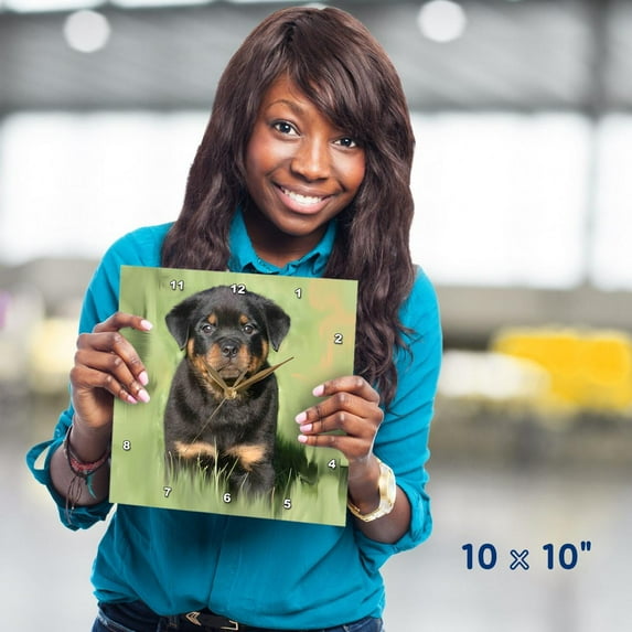 3dRose, Rottweiler Puppy, 10x10 Wall Clock