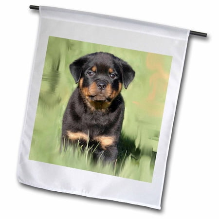 3dRose, Rottweiler Puppy, 12 x 18 inch Garden Flag