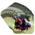 thumbnail image 1 of 3drose, Rottweiler, Set of 8 Coasters - Soft, 1 of 7