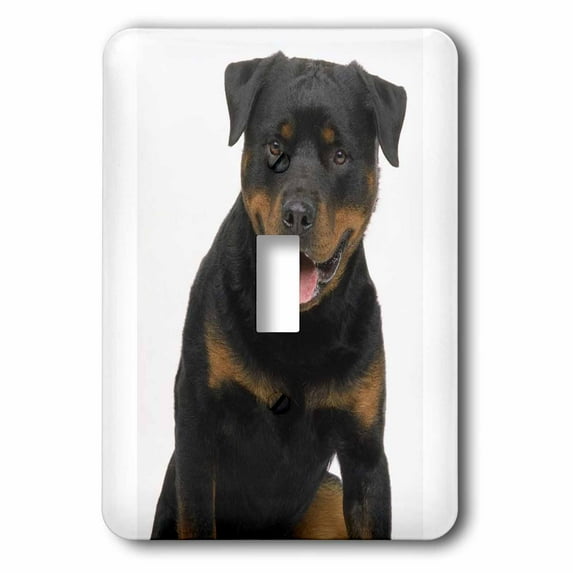 3dRose, Rottweiler, single toggle switch