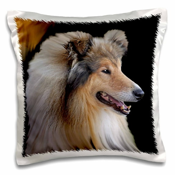 3dRose, Rough Collie Portrait, 16x16 inch Pillow Case