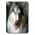 thumbnail image 1 of 3dRose, Rough Collie, single toggle switch, 1 of 1