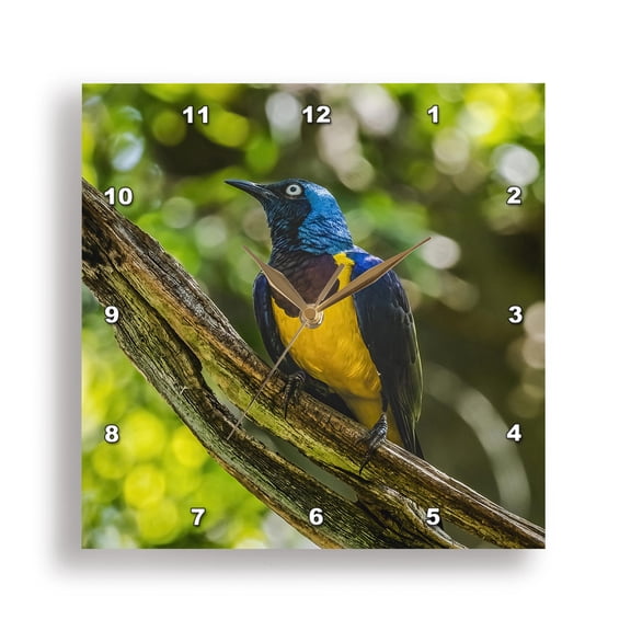 3drose, Royal Starling., 15x15 Wall Clock