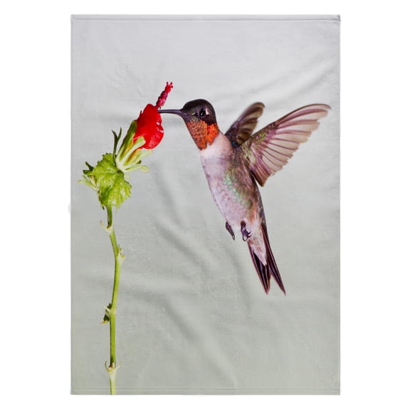 3dRose, Ruby-throated Hummingbird, Archilochus colubris, feeding, Texas, USA, 22x30 Bath Hand Pool Towel