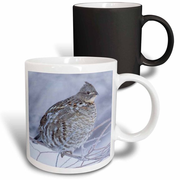 3drose, Ruffed Grouse in Cold Winter Weather., 11oz Magic Transforming Mug