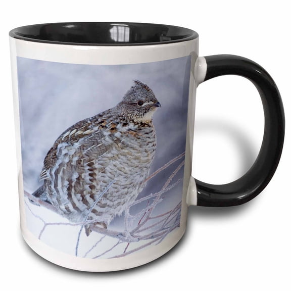 3drose, Ruffed Grouse in Cold Winter Weather., 11oz Two-tone Black Mug