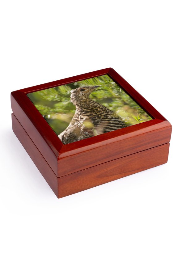 , Ruffed grouse, Manning Park, British Columbia-CN02 PCL0130 - Paul Colangelo, Jewelry Box 5.5x5.5 inch with 4 inch tile