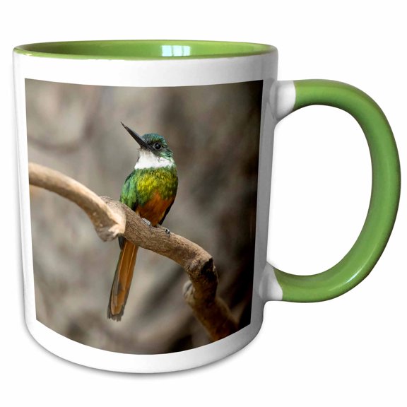 3drose, Rufous-tailed Jacamar, on Tree Branch, Northern Pantanal, Brazil, 11oz Two-tone Green Mug