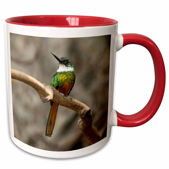 3drose, Rufous-tailed Jacamar, on Tree Branch, Northern Pantanal, Brazil, 15oz Two-tone Red Mug