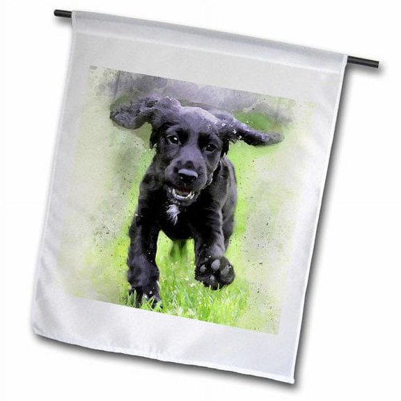 3dRose, Running Playful Black Labrador Retriever Puppy Watercolor, 12 x 18 inch Garden Flag