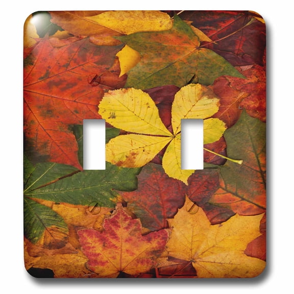 3dRose, Rustic Autumn Leaves , double toggle switch