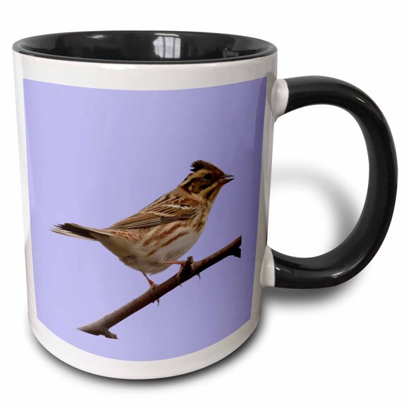 3drose, Rustic Bunting Bird Vector Isolated, 11oz Two-tone Black Mug
