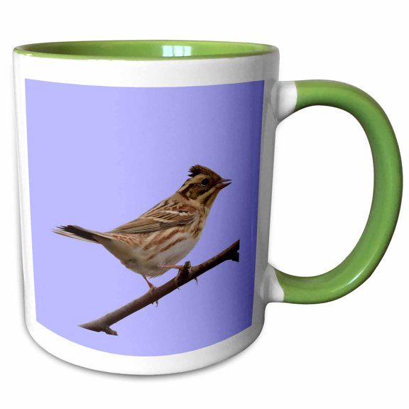 3drose, Rustic Bunting Bird Vector Isolated, 11oz Two-tone Green Mug