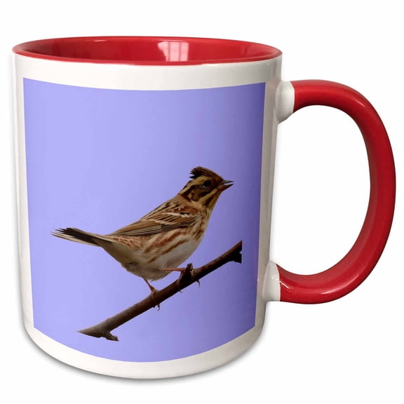 3drose, Rustic Bunting Bird Vector Isolated, 11oz Two-tone Red Mug