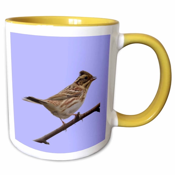 3drose, Rustic Bunting Bird Vector Isolated, 11oz Two-tone Yellow Mug