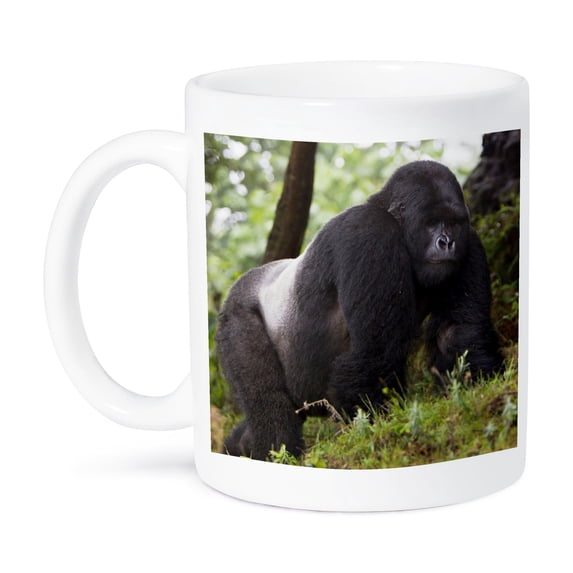 3dRose, Rwanda, Mountain Gorilla, No 2 Silverback -AF35 RBE0049 - Ralph H. Bendjebar, 11oz Mug
