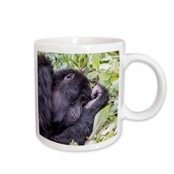 3drose, Rwanda, Volcanoes Np, Ruhengeri, Kinigi, Mountain Gorilla Sleeping., 11oz Mug