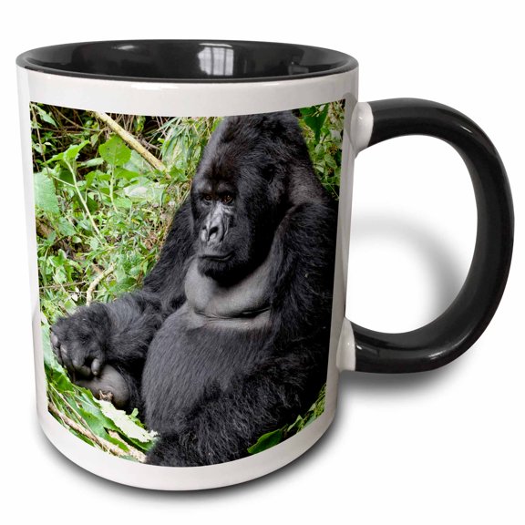3drose, Rwanda, Volcanoes Np. Sitting Silverback Mountain Gorilla., 15oz Two-tone Black Mug