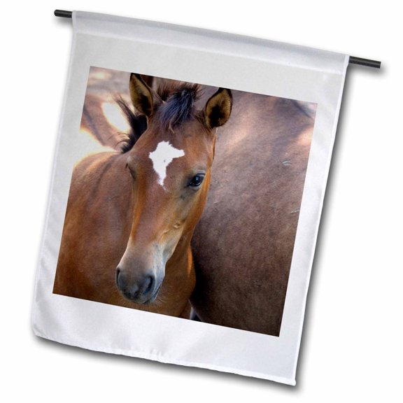 3dRose, SD, Black Hills Wild Horse Sanctuary - US42 CMI0094 - Cindy Miller Hopkins, 12 x 18 inch Garden Flag