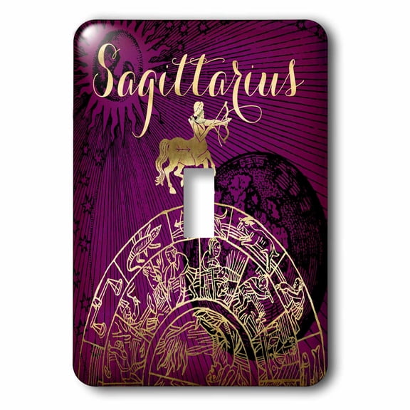 3dRose, Sagittarius Symbol Astrology Wheel Zodiac Sign Horoscope, single toggle switch