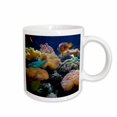 thumbnail image 1 of 3drose, Salt Water Aquarium, Vitu Levu, Fiji - Oc01 Dpb0398 - Douglas Peebles, 15oz Mug, 1 of 6