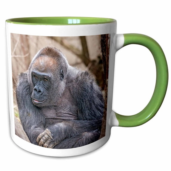 3drose, Samantha, 44-year-old Western Lowland Gorilla. Cincinnati Zoo, Ohio, 11oz Two-tone Green Mug