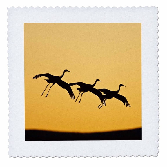 3dRose, Sandhill Crane bird landing, New Mexico, USA - US32 LDI0032 - Larry Ditto, 6x6 inch quilt square
