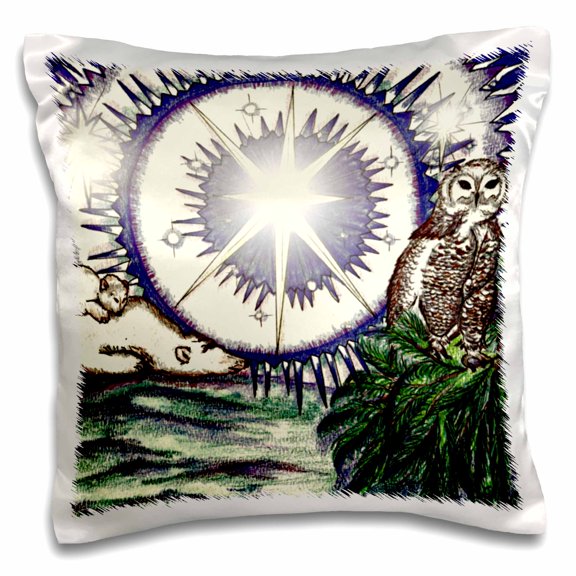 3dRose, Save The Midnight Magic, 16x16 inch Pillow Case