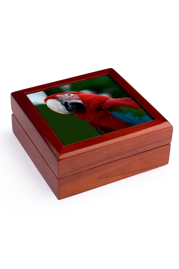 , Scarlet Macaw, Jewelry Box 5.5x5.5 inch with 4 inch tile